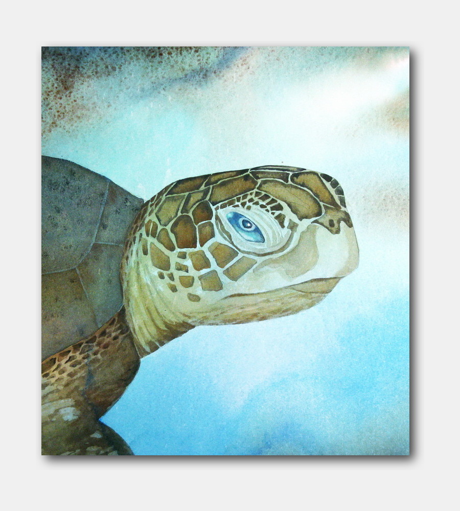 Sea Turtle Portrait